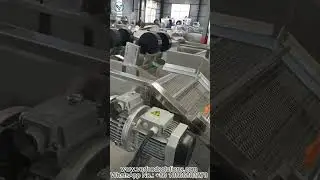 VERFOODSOLUTIONS Blanching Machine Air Bubble Washing Machine In Stock Ready to Ship