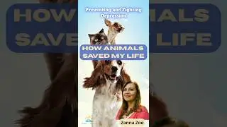 The Hidden Power of Pet Therapy