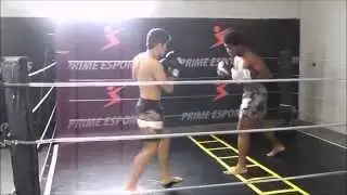 Predator MMA - Shorts de Muay Thai