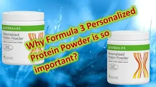 Herbalife Personalized Protein Powder - Why Formula 3 Personalized Protein Powder is so important?