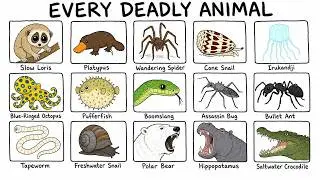 The most Deadliest Animals On Earth