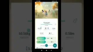 Tranquill evolution😍 #pokefans #pokemongo #pokemonmasters #pokemonfamily #pokemonlovers #pokedex