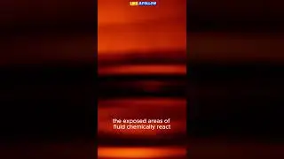The Intricate Process of Wafer Manufacturing . #manufacturingprocess #waffer #science #shortvideo