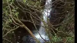 Ellis Wood Nature Trail - Connemara National Park - Letterfrack - Connemara - connemarawalking.ie
