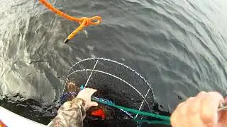 Shrimping in Sitka Alaska with our Hewescraft