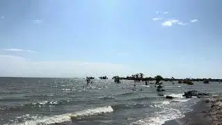 Eliye Springs Beach Lake Turkana Lodwar County Sandy Palm Trees Landscapes Travel Safaris Excursions