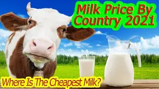 Milk Price By Country 2021 | Where Is The Cheapest Milk? |Comparison