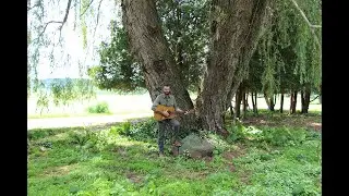 Derek W. Dunn -  The Willow Tree