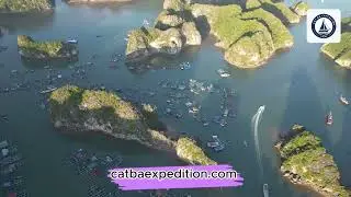 One Day Boat Tour with Cat Ba Expedition Tour