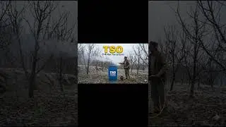 TSO Spray का सही तरीका...🍎 #SanJoseScale #TSO #TreeSprayOil #AppleSpray #PestControl #SebKiKheti