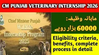 CM Punjab Veterinary Internship 2026 | 60,000 Stipend! Eligibility & How to Apply