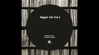 Diggin' Life Vol.3 (mixtape)