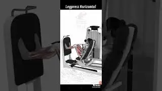Legpress Horizontal