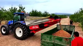 Recolector Almendra trasero  RT 100