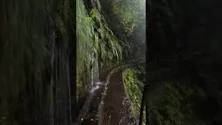 4K Free Stock Footages | #freevideosforyoutube  | video library |#freevideo#freevideosforyoutube