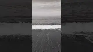 Mi amigo el Viejo Mar