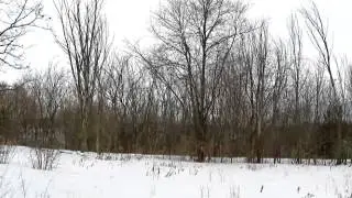 Homes for Sale - Lot 12 DeMoe Ln Eau Claire WI 54703 - Lenny Drescher