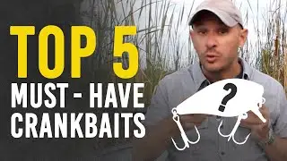 5 Crankbaits You Should Stock for Bass