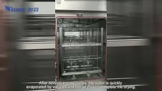 CSSD Multifunctional SS Washer Disinfector with Automatic Handling System