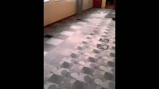 Algeco scotsman floor survey