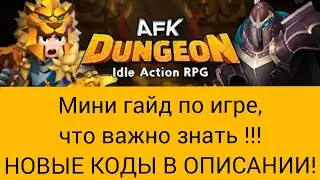 AFK Dungeon Idle RPG/ Мини гайд за минуту,что важно знать!!/ Новые коды в описании!!