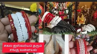 சகல ஐஸ்வர்யம் தரும்🐚சங்கு   வளையல்/Valampuri Sangu/Conchshell Sakha polaBangle Kolkata #sanguvalayal