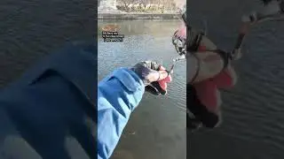 【AREA TROUT Fishing】DS Bevy vib♯Full clear brown（DAYSPROUT）2022.12.24