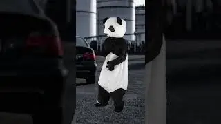 Paddy's Fashion Dance 🫶🐼🤭 #fashion #fashiondance #pandadance #fyp #viralshorts #petdance