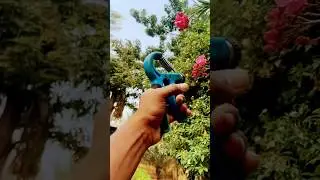 Handgripper exercise this gadget help to build veins better than other gadgets #fitness #fitgym #gym