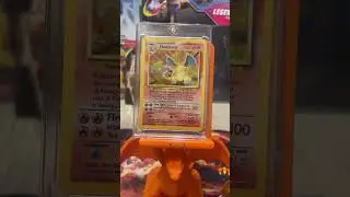 Gen I Kanto Starter Pok&eacute;mon! Evolutions!#pokemonchannel #pokemoncollection #pokemontcg #pokemon