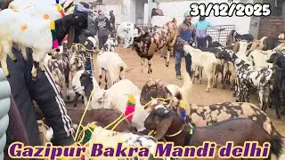 Gazipur Bakra Mandi live update 31/12/2025 delhi 