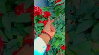 creative hand video 💛 #shorts #viralvideo