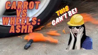 CARROT VS. WHEEL || CARROT BURNOUT || CARROT ASMR