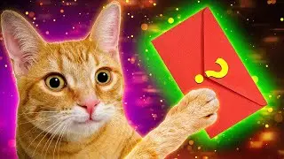 сat works in the post office to pay bills