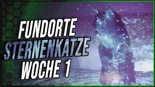 ALLE Sternenkatzen Woche 1 Blinder Quell / Garten des Reichtums - Destiny 2 | Lightfall