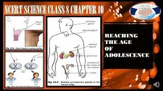 NCERT SCIENCE CLASS 8 CHAPTER 10 REACHING THE AGE OF ADOLESCENCE FOR UPSC IAS PRE,UPPCS,SSC IN HINDI
