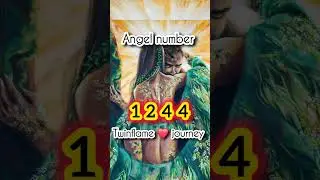 Angel number 1244 meaning in twin flame journey. #hindi #angelnumber #twinflame