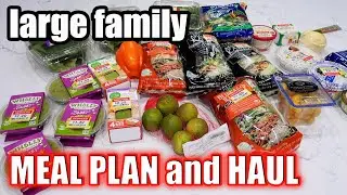 LARGE FAMILY MEAL PLAN AND GROCERY HAUL | Cleaning out the FREEZER!