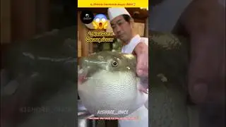கடைசி😱வரை😨பாருங்க🐟|Pufferfish😧Facts in Tamil|FucuFish|#shorts #facts #pufferfish #education