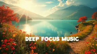 Soothing Focus Music for Stress Relief & Deep Work | Woody&rsquo;s Focus Cove