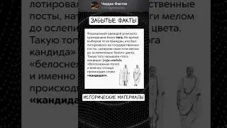 Одежда римского гражданина. #римскаяимперия #тога #одежда #факты #история