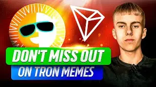 TRON MEMECOINS Are The New Crypto GEMS! (Complete TRON Guide)