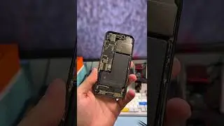 iPhones sind nicht wasserdicht