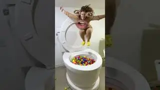 The world largest toilet into the world #goodthing #ilovegadgets #duet #splashproof #shorts