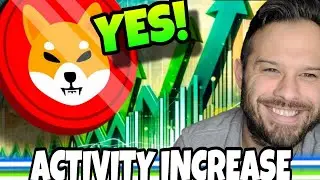 Shiba Inu Coin | SHIB And DOGE Activity Rising, Will The Price Follow?