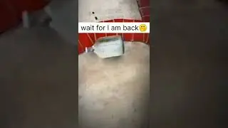 wait for I am back🤭. #shorts #viralvideo #youtubeshorts