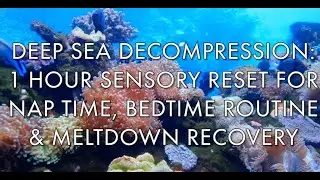 Deep Sea Decompression: 1 Hour Sensory Reset for Nap Time, Bedtime Routine & Meltdown Recovery