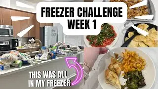 Ultimate Freezer Clean-Out Challenge: Cooking Up a Storm Before Hurricane Season!✨⛈️⛈️