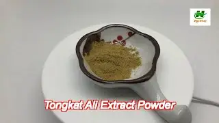 Longjack Extract Tongkat Ali Extract Powder Longjack Extract Eurycomanone Iso9001 Approved