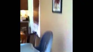 CALL OF THE BIRDMAN